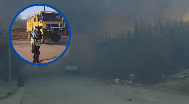 Captura de pantalla 2024-07-31 180228